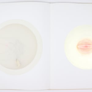 Vibrational Cosmos by Audra Skuodas  Image: Page 14 Underlay