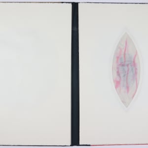 Womb -- Wound by Audra Skuodas  Image: Overlay Page 2