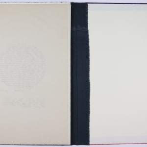 Womb -- Wound by Audra Skuodas  Image: Back page