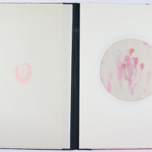 Womb -- Wound by Audra Skuodas  Image: Overlay Page 1