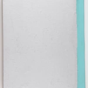 Harmonic Territories by Audra Skuodas  Image: Back cover
