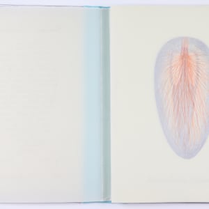 Harmonic Territories by Audra Skuodas  Image: Page 1 Overleaf