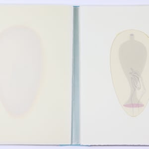 Harmonic Territories by Audra Skuodas  Image: Page 2 overlay
