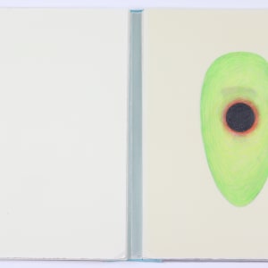 Harmonic Territories by Audra Skuodas  Image: Page 5 overlay 1