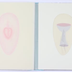 Harmonic Territories by Audra Skuodas  Image: Page 6 overlay