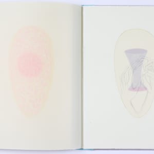 Harmonic Territories by Audra Skuodas  Image: Page 7 overlay 2