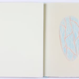 Harmonic Territories by Audra Skuodas  Image: Page 7.5