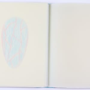 Harmonic Territories by Audra Skuodas  Image: Back page