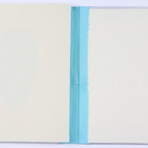 Harmonic Territories by Audra Skuodas  Image: Back inside cover