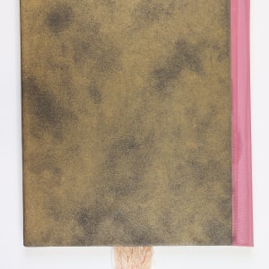 The Vessel the Containment.  The Contained the Vessel. by Audra Skuodas  Image: Back Cover