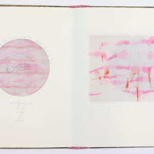 The Vessel the Containment.  The Contained the Vessel. by Audra Skuodas  Image: Page 3/inner:

As the shadow is to the object, so is the object itself the archetypal idea in the world of causes.