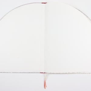 Untitled (Artist Book) by Audra Skuodas 