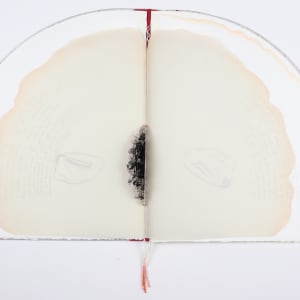 Untitled (Artist Book) by Audra Skuodas 