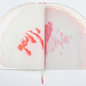 Untitled (Artist Book) by Audra Skuodas 