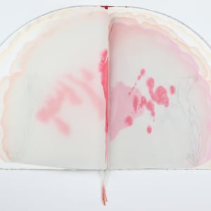 Untitled (Artist Book) by Audra Skuodas 