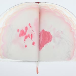 Untitled (Artist Book) by Audra Skuodas 