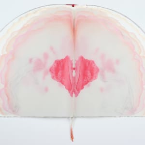 Untitled (Artist Book) by Audra Skuodas 