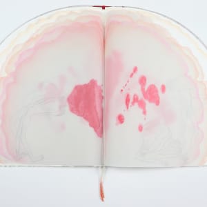 Untitled (Artist Book) by Audra Skuodas 