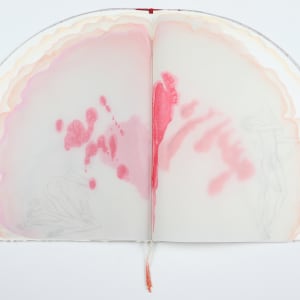 Untitled (Artist Book) by Audra Skuodas 