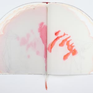 Untitled (Artist Book) by Audra Skuodas 