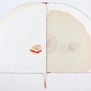 Untitled (Artist Book) by Audra Skuodas  Image: Both Female Cycles and the Wise Wound speak at great length about the 'menstrual epidemic' among modern civilized women.  When violence is done to our nature it talks back in irregular ways and disharmonious ways -- when we menstruate we are more psychologically open and vulnerable, and because of this are unable to accept injustices, deceits. . . and so our stored up rage and sexual frustration are likely to burst out. . . The menstrual cycle deeply links body, soul and mind but traditionally male doctors have viewed women as hormone robots. . . .The menstrual tension is also caused by an increased need to dream and to meditate.  This was the time when ancient women experienced prophetic dreams.  This was the monthly transformation and rebirth of the ego self. . ..The ancient people believed that the Moon Mother created human society.   If the moon were to vanish, all mental activity on Earth would cease.   In their language , words for wisdom, knowledge, spirit, soul and time are always cognate with words for the moon.  In Dakotan 'waken' means 'spiritual, 'wonderful,' and 'menstrual.' Menstrual blood is liquid flesh, both sacred and biological.  Within it dwells the life spirit.  The human womb is strongly supplied with conscious sensory nerves , it is a sense organ, complex and raw like wound."  -- B. Mor and M. Sjoo