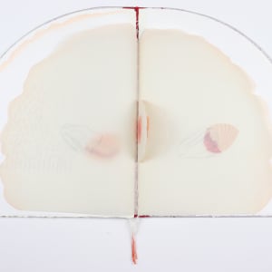 Untitled (Artist Book) by Audra Skuodas 