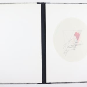 Brutalization Will Never, Never Bring About Humanisation by Audra Skuodas  Image: Page 3 overlay