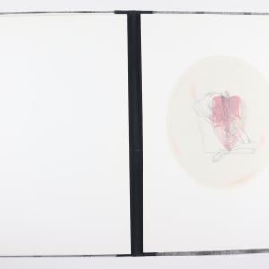 Brutalization Will Never, Never Bring About Humanisation by Audra Skuodas  Image: Page 5 overlay