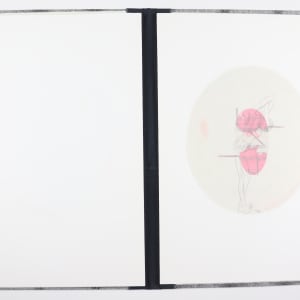 Brutalization Will Never, Never Bring About Humanisation by Audra Skuodas  Image: Page 6 overlay