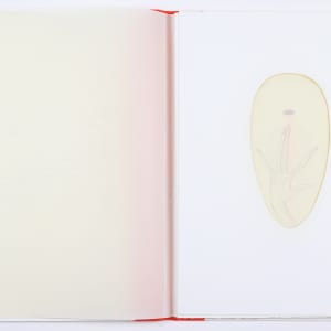 This Vessel of Definition and Transformation by Audra Skuodas  Image: Page 1 overlay