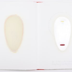 This Vessel of Definition and Transformation by Audra Skuodas  Image: Page 2 underlay

"Hermes Trismugistus believed that thoughts have characteristics similar to the physical world, that thoughts have vibrational levels and energy levels which bring about changes in the physical world.
The Container -- the Containment
transforming and transformable. . . ."