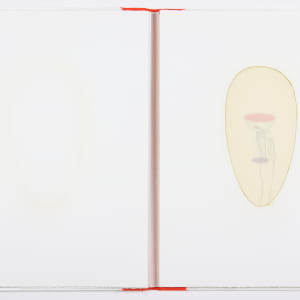This Vessel of Definition and Transformation by Audra Skuodas  Image: Page 4 overlay