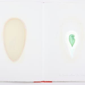 This Vessel of Definition and Transformation by Audra Skuodas  Image: Page 5 underlay

" How many maintain the capacity to recognize the true from the polished lie?
The timbre within the voice, 