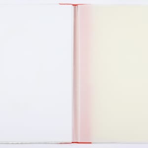 This Vessel of Definition and Transformation by Audra Skuodas 