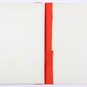 This Vessel of Definition and Transformation by Audra Skuodas 