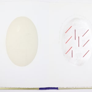 The Ideal is in the Organic by Audra Skuodas  Image: Page 1 underlay

"The cosmos, nature, forces, the volitional power to emerge, develop, sustain, relate, harmonize. . . ."