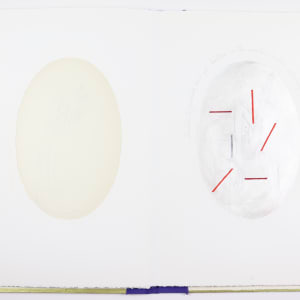 The Ideal is in the Organic by Audra Skuodas  Image: Page 3 underlay

" . . .  Limited to prescribed laws yet limitless in the inventive, creative, potentiality of harmonized beauty. . . "