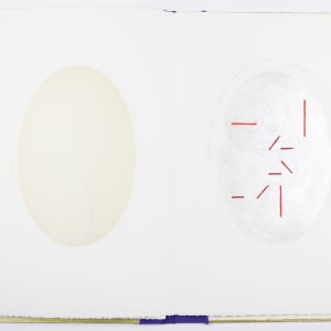 The Ideal is in the Organic by Audra Skuodas  Image: Page 5 underlay

". . . Cognition, reflection, compassion bequeathed to man. . . a potentiality given -- unurtured, subsumed, obliterated. . . "