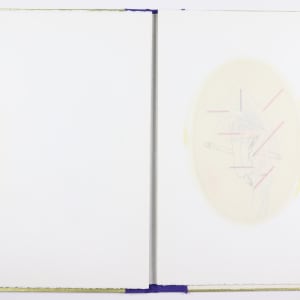 The Ideal is in the Organic by Audra Skuodas  Image: Page 6 overlay