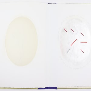 The Ideal is in the Organic by Audra Skuodas  Image: Page 7 underlay

"Conditioned and being conditioned by the superficial and excessive. . .a world of self indulgent, plugged-in, sub-human money machines -- finer sensitivity vibrations soon to be near extinct. . . . "