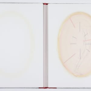 Vibration, Consciousness, Conscience by Audra Skuodas  Image: Page 4 overlay