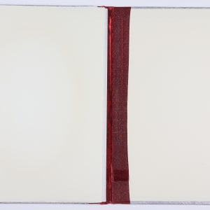 Vibration, Consciousness, Conscience by Audra Skuodas  Image: Back inside cover