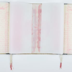 The Apocalyptic Ballet of Nations by Audra Skuodas 