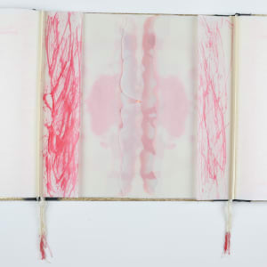 The Apocalyptic Ballet of Nations by Audra Skuodas 