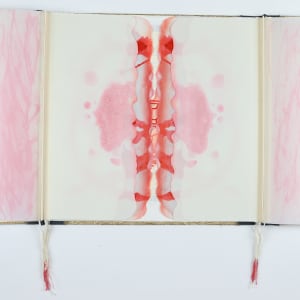 The Apocalyptic Ballet of Nations by Audra Skuodas 