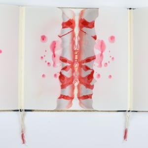 The Apocalyptic Ballet of Nations by Audra Skuodas 