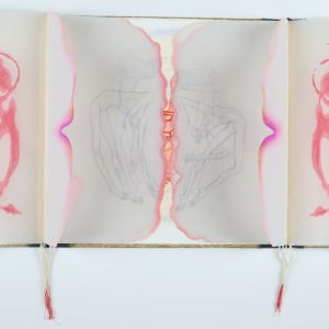 The Apocalyptic Ballet of Nations by Audra Skuodas 