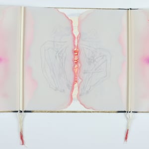 The Apocalyptic Ballet of Nations by Audra Skuodas 