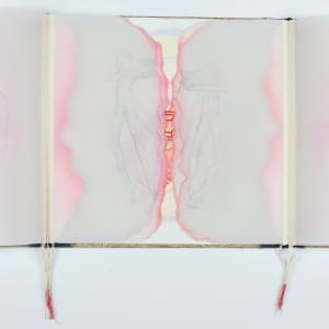 The Apocalyptic Ballet of Nations by Audra Skuodas 