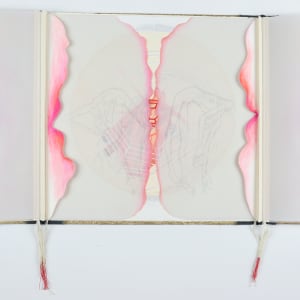 The Apocalyptic Ballet of Nations by Audra Skuodas 
